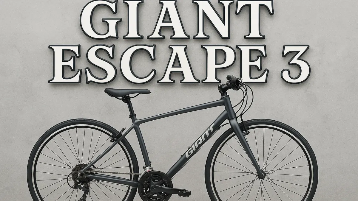 Giant Escape 3